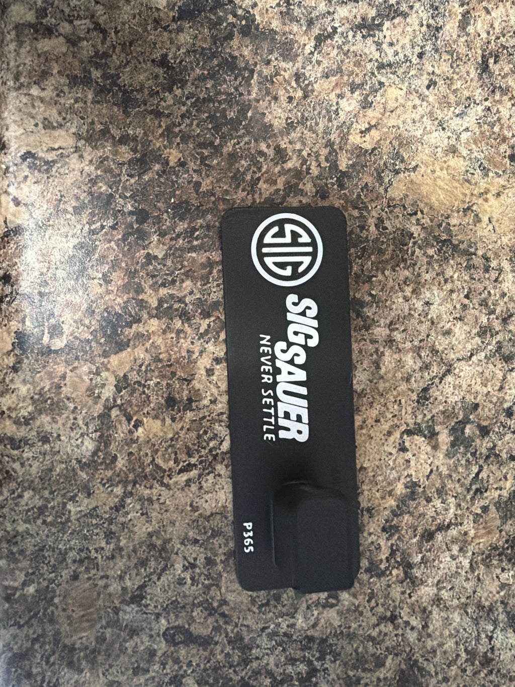 Pistol holder