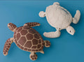 Sea turtle
